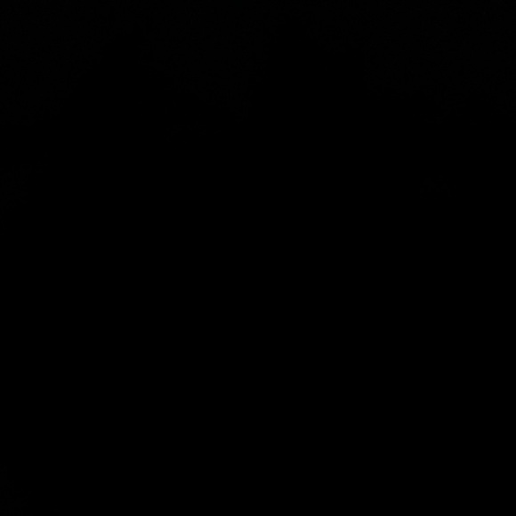 crown of thorns Tops - 💕